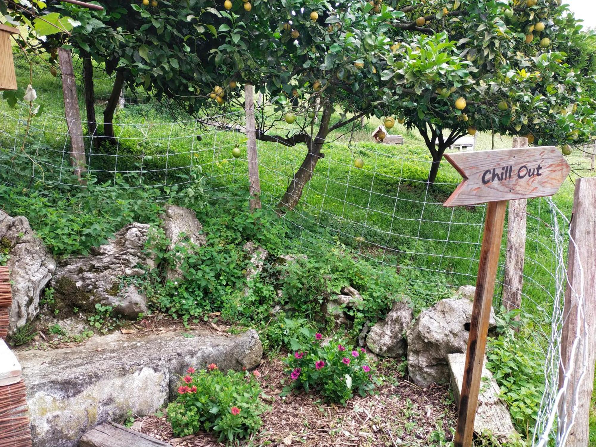 דירות מוטריקו Antzomendi מראה חיצוני תמונה
